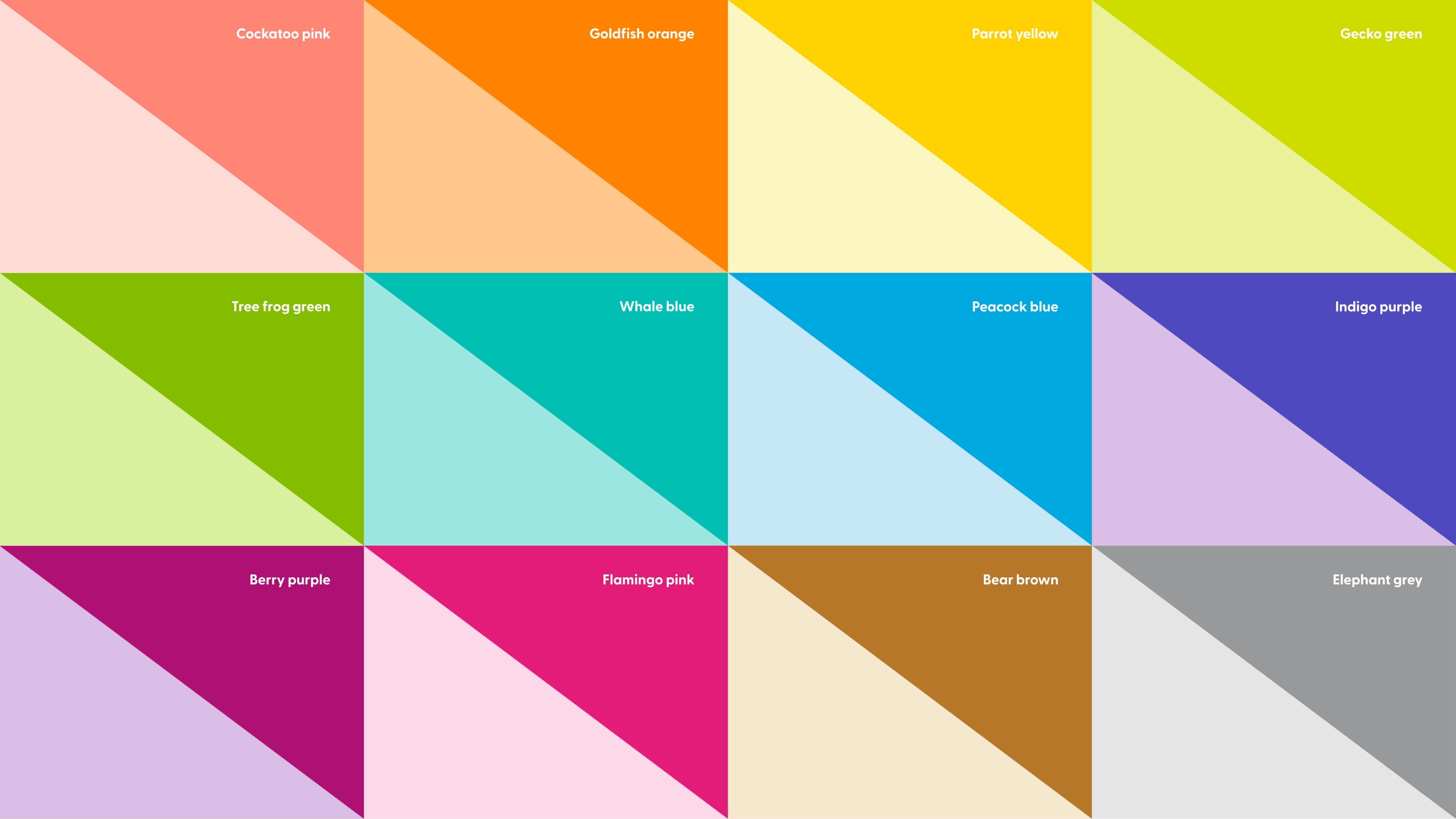 Hape Identity - 06