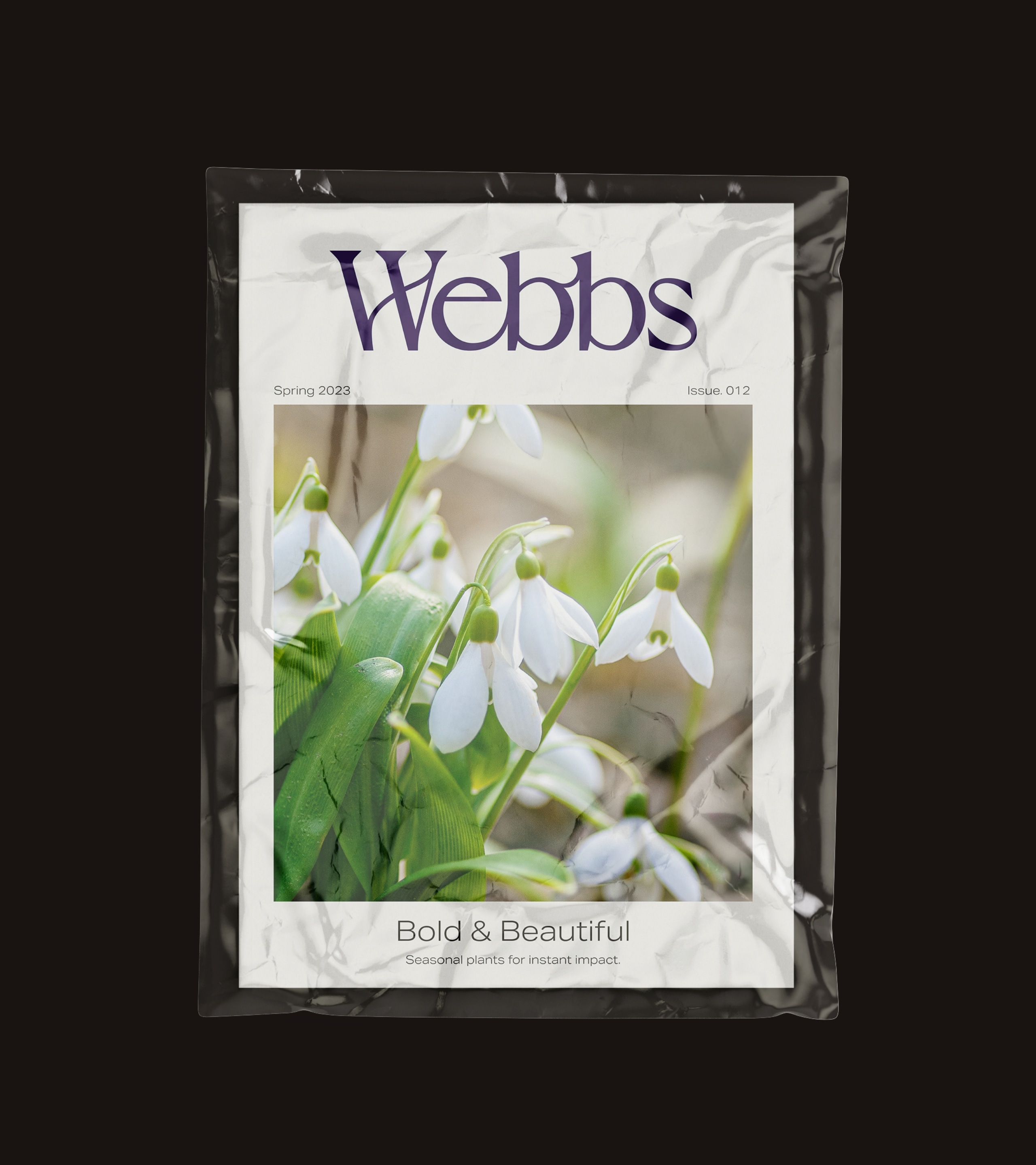 Webbs Rebrand - 02
